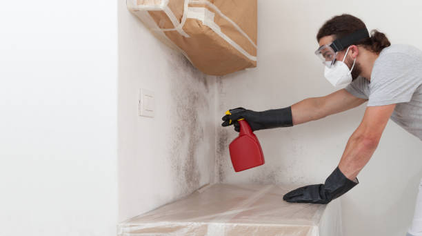 Professional Mold Inspection technician working in Montvale, NJ